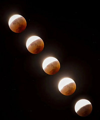 ̨���˴����ٵ�46�꣬����Ԫ���ڽ��С���Ϸ����