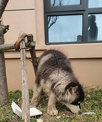 ˭�ҵİ���˹���ڽ���������̲�߶�