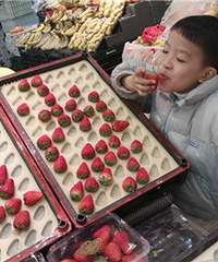 ��ݮ���ջ�