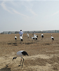 ���޴򿨵�������Ȼ������