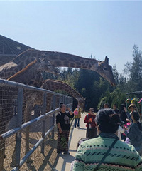 ����¹ȫ�Ҹ�