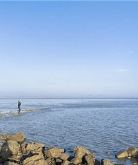 ����ĺ���������