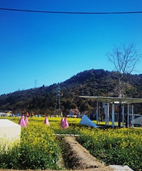 �Ͳ˻������Ƶĸ�����