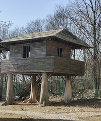 ��˵Ͷ����20����û������������Ӱ�ӳǣ�Զ���������ư���