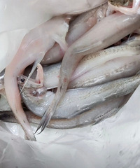 ������⣡����㵽����ô���źó԰���