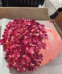 �������������YYDS��õ��֥��ζ��Ҳ������