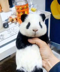 ���۸��᡿�������ǻ��˶���Ǯ