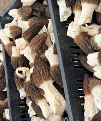 ������һ���ϡ����ζ��̨��һ�����־ͱ��գ���Ѽ۸������