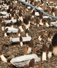 ������һ���ϡ����ζ��̨��һ�����־ͱ��գ���Ѽ۸������