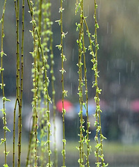 ��һ����Ҫ�£��㽭��һ����ˮ���Ͼ�λ������е����ꡢ10�����