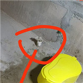 ��©������͵�զ��