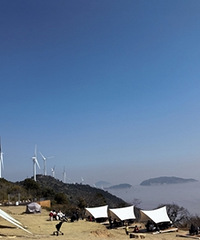 ̨��һ�Ź�·ţͷ���������������