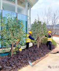 ��·��վվǰ�㳡��Ŀȫ�渴��