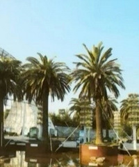 ̨�����������԰��Ա�� ��԰��ʩ������ˢ���ڻ���280Ԫ����