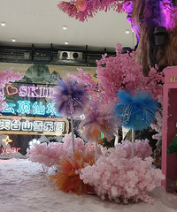 ��̨ɽѩ��԰��ѩ