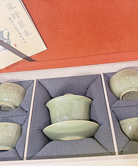 ɹ��ʳ����������յ��װ��è����