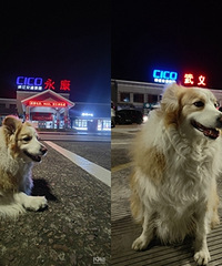 ���ջ�̨�ݣ�������³�����;��������