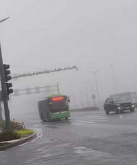 ����Ҳ̫����