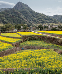 ����Ͳ˻��򿨣������ÿ����ŵľ�ɫ