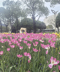 ��������������