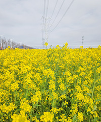 ����û�������Ͳ˻�û�׿�