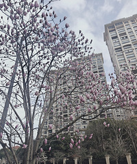 ӣ��·������������