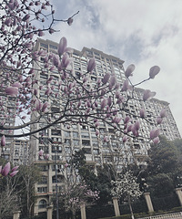 ӣ��·������������