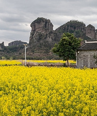 ����Ͳ˻���