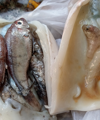 ���������̼���