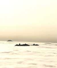 �������ѵ�һ����