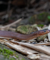 ȷ�������֣�̨����ѧ�������ڿ����ġ�