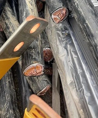 �����ӱ䵹���ӣ�̨��һ���ӿ��ű�ʱ��ȥ͵����.......