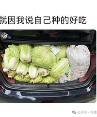 ����������죬�����ж��ٶ����������ߺ����ֻʣ����ǽ�ˣ�