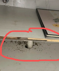 ��������Ĺ��ӳ��ֺں�ɫ��м��ɶ��