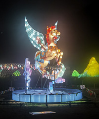 ���ҽ�Ұ��԰��������ѵ�չ