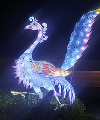 ���ҽ�Ұ��԰��������ѵ�չ