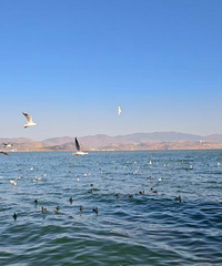 ϲ���ĵط�����ȥһ���ֺη�