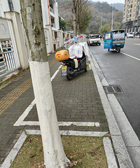 �̶̼�ʮ��·��ÿ��ÿ�������߶��м�����Ĺ�ʺ��˭�ܹܹܣ�