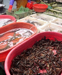 С��Ϻ�������У�