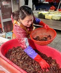 С��Ϻ�������У�