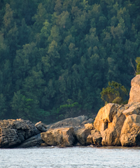 �˳���ȥ���羰���ã��ں������ι��Եڶ�������