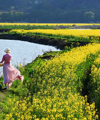 ̨���������Ͳ˻���һ�ҽ�ʮ���