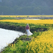 ̨���������Ͳ˻�