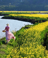 ̨���������Ͳ˻���