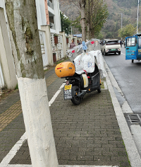 ÿ�����Զ��й�ʺ��˭�ܹ�