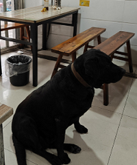 �����Ͳ�����