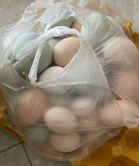 ����ĵ�̫������