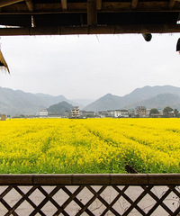 �������ģ�ֱ�ӳ壡