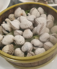 ̨���紺С���ʸ��������