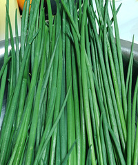 �ǳ��ɾ��ִ��̵ĴУ������˻ᵹ��һ���Ӹ�����ûɶ��